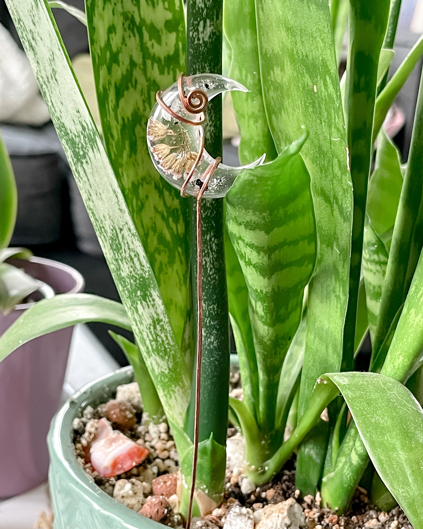 Crescent Moon Plant Charms