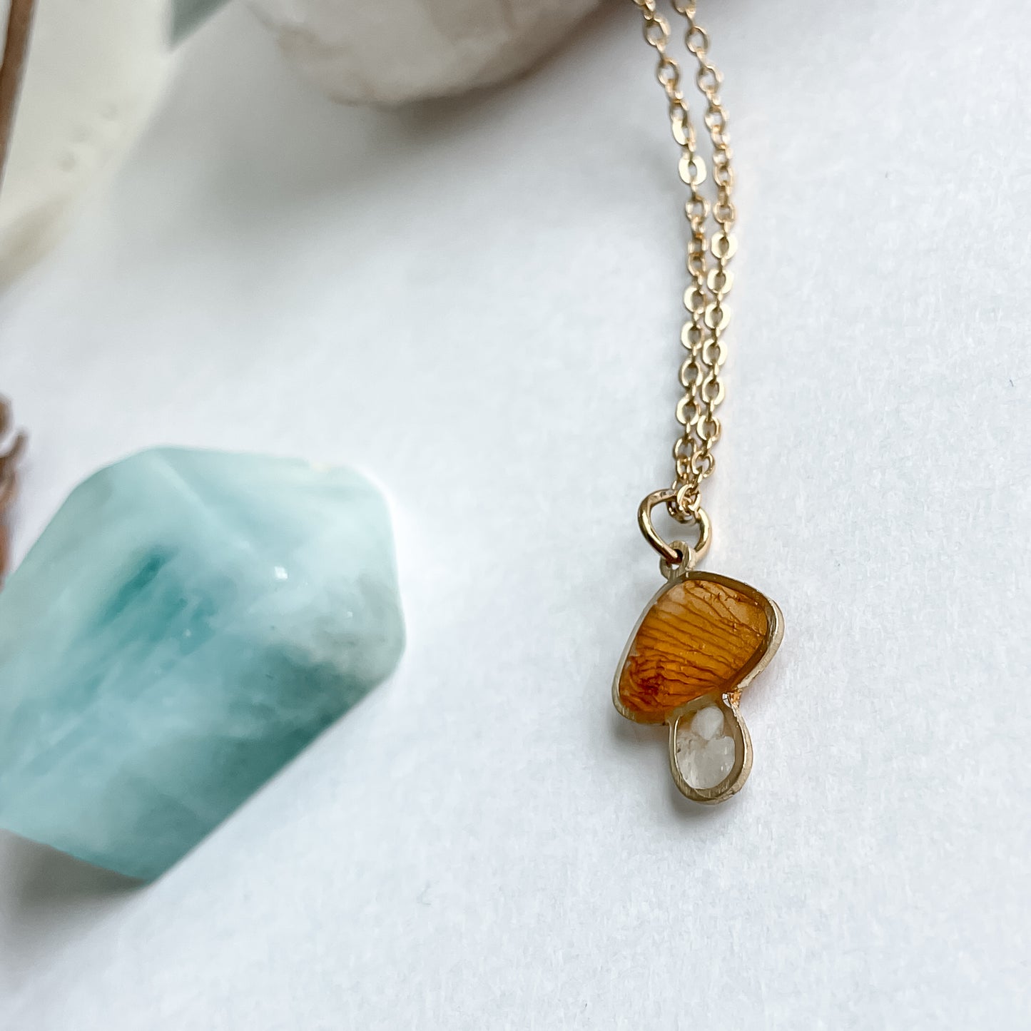March Mushies - Birthstone & Flower