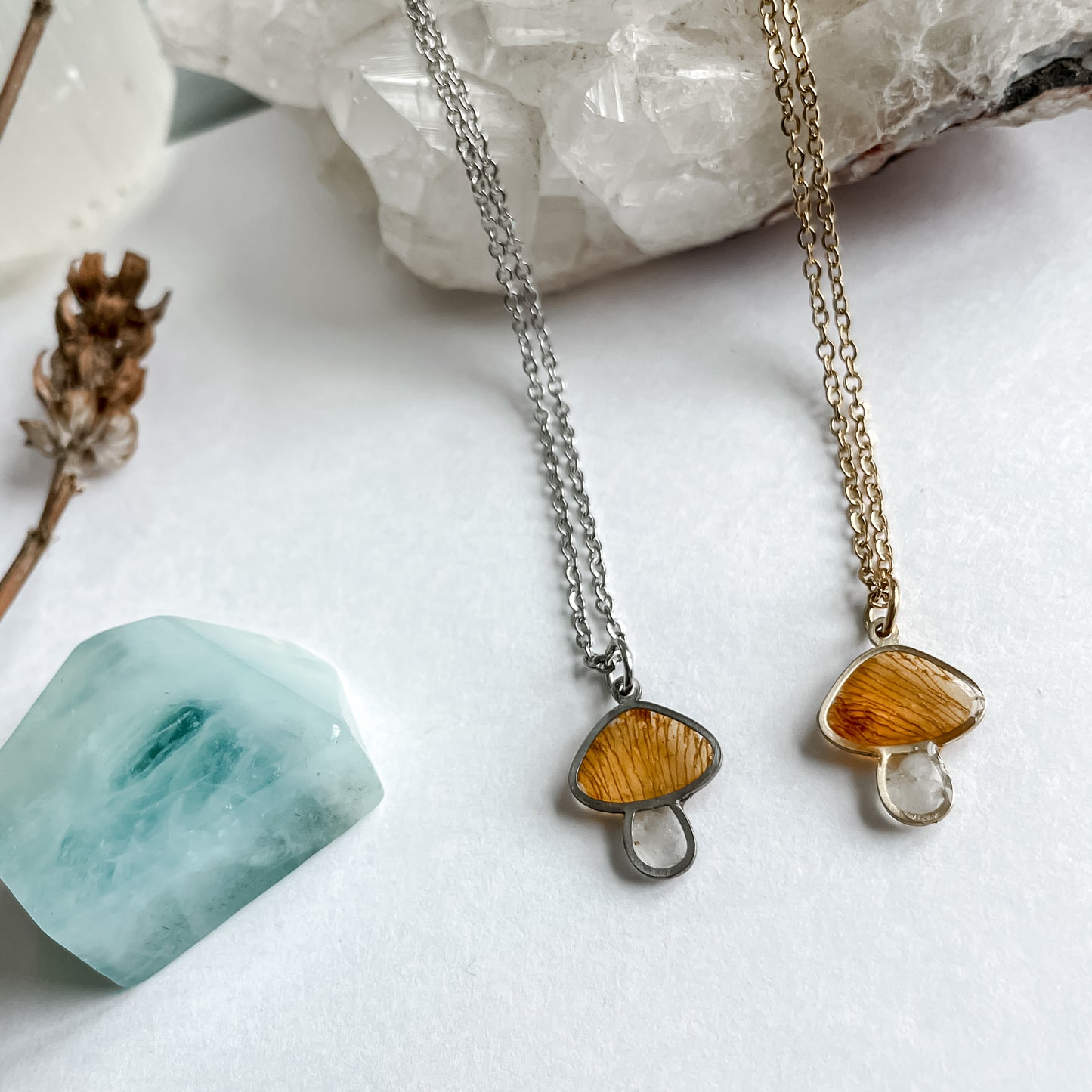 March Mushies - Birthstone & Flower